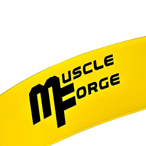 MuscleForge® Arm Blaster, Trainer per bicipiti, Trainer per Le Braccia, isolatore per Un Isolamento ottimale dei bicipiti e dei Muscoli delle Braccia, Blaster per bicipiti per Bodybuilding