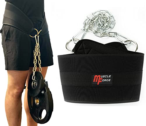 MuscleForge® Cinturón de Lastre, Dip belt, cinturón de carga hasta 240 kg con cadena y mosquetón, cinturón para entrenamiento de fuerza con pesas colgantes, Cinturon Lastre para Dominadas y Dips