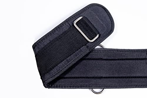 MuscleForge® Widerstandsband-Set für Box- und Sprungtraining, Trainingsband-Set mit Gurt und Aufsätzen für das motorische Training, Boxgeräte für zuhause, Functional und Box Trainingsgerät