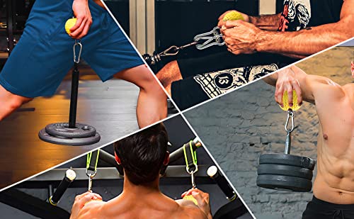 MuscleForge® Trainingskugeln, Grip balls - Klimmzug Kugeln, Klimmzugbälle für Griffkraft und Training im Fitnessstudio oder zu Hause, für Klimmzüge, für Klettertraining